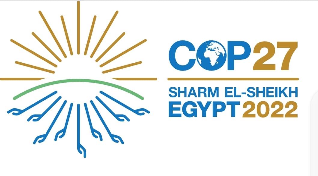 Logo de la COP27 représentant un soleil avec des traits fins et aérés sur la partie haute (de couleurs ocre), et qui se transforme en racine de plantes sur la partie basse dans le même style (de couleurs bleues)